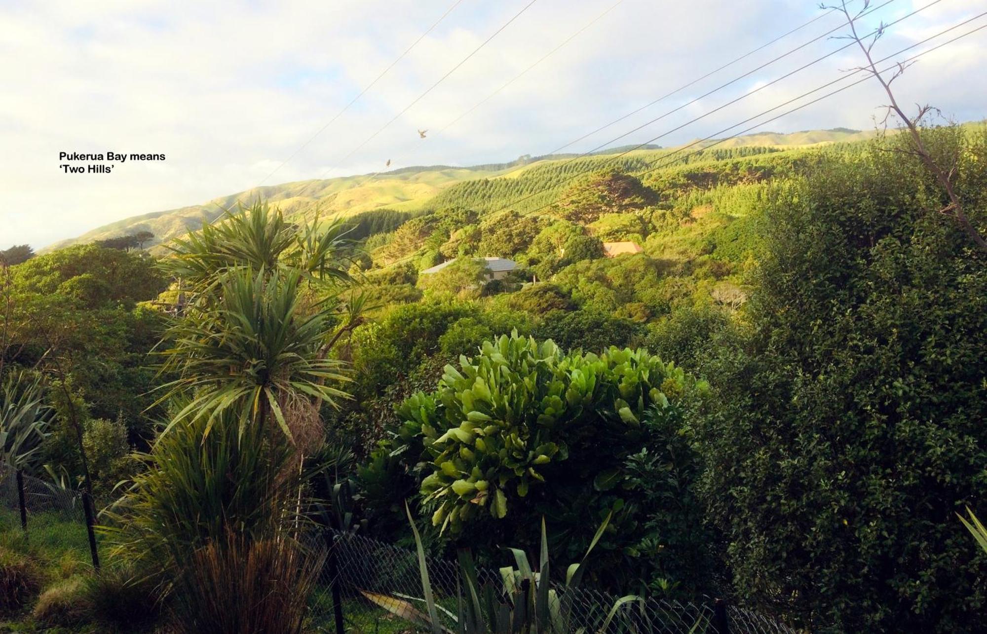 Peaceful Pukerua Bay Exterior foto